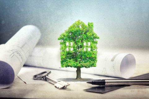 A home energy assessment will show you how to save on power and reduce energy costs to create a sustainable home in Sydney